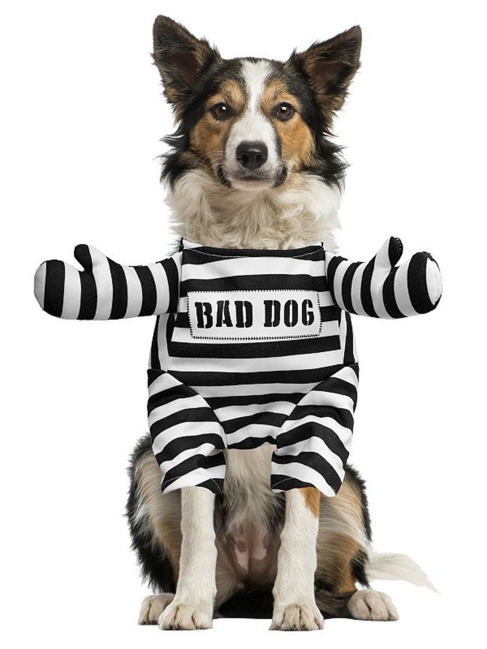 Woof Bad Dog Black & White Striped Pet Costume XL